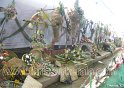 flower-show-2011 (22)